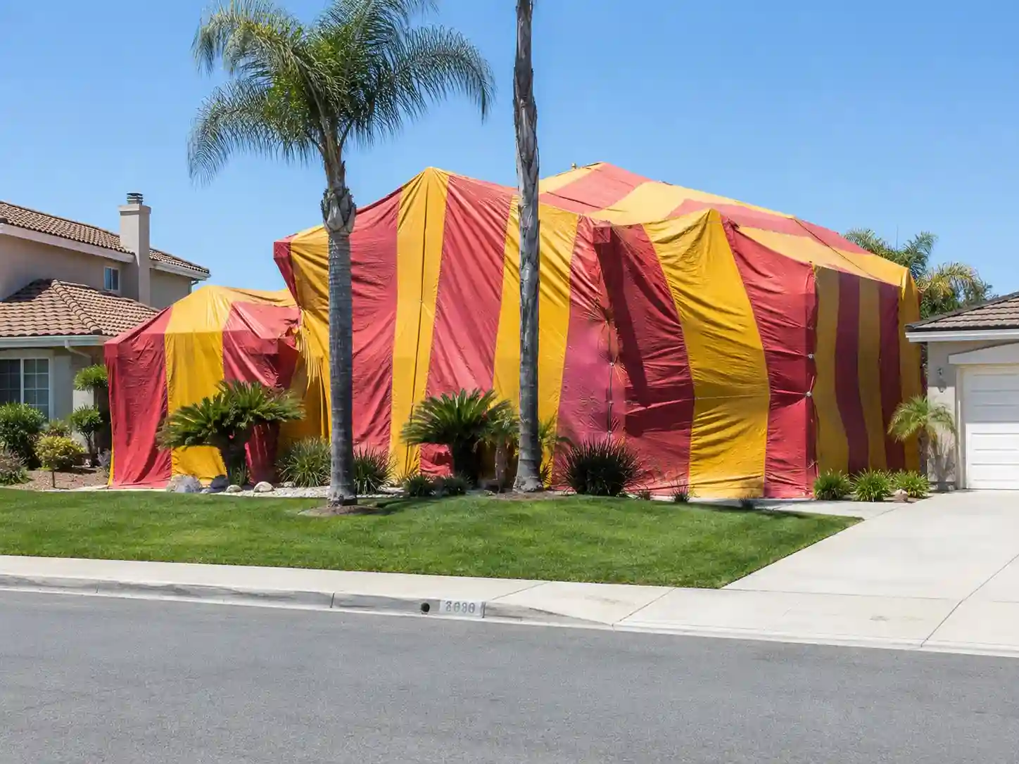 Termite tenting crew covering an Anaheim home with a fumigation tent